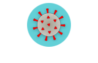 Koronavirus